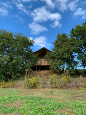 Glamping Podere Angiotto LODGE QUERCIA Magliano In Toscana